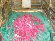 Bareilly 6 - Ibrahim Raza