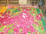 Bareilly 7 - Mustafa Raza