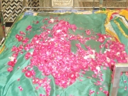 Bareilly 8 - Rehan Raza