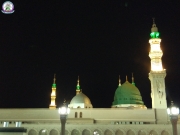 Madina 8
